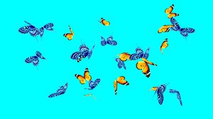 3D butterflies flight animation natural