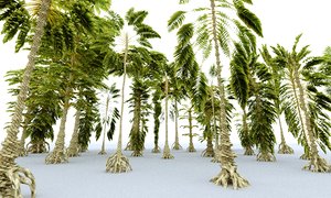 3D prehistoric plants tree model