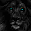 member avatar