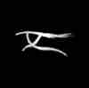 member avatar