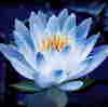member avatar