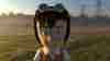member avatar