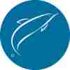 member avatar