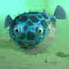 member avatar
