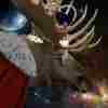 member avatar