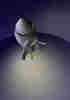 member avatar