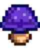 member avatar