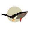 member avatar