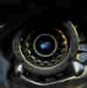 member avatar