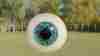 member avatar