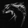 member avatar