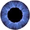 member avatar