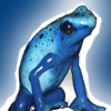 member avatar