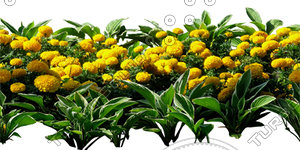 Flower_H_36.tga