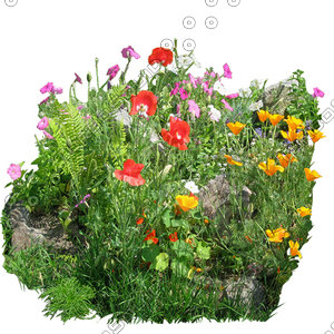 Flower_H_14.tga