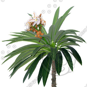 Branch_s_18.tga