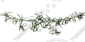 Branch_s_17.tga