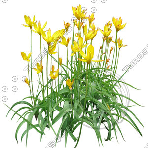 FlowerL_26.tga