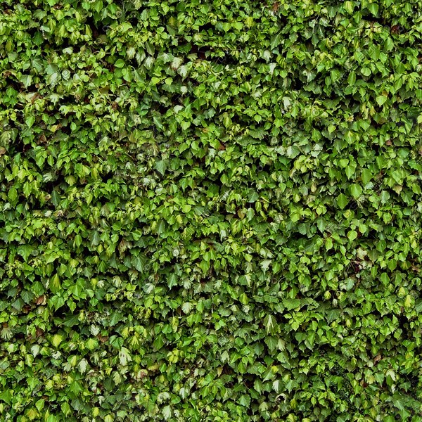 Texture Other green wall seamless