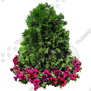 Flower_H_23.tga