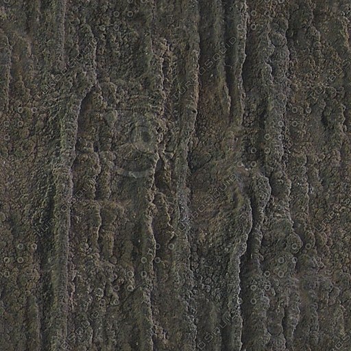 Texture Other cave wall texture