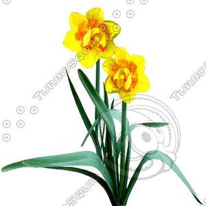 Flower_L_11.tga