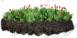 Flower_H_37.tga