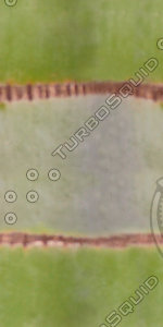 Bark_40.tga