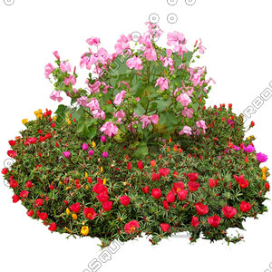Flower_H_27.tga