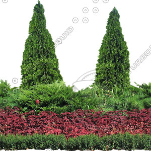 Flower_H_39.tga