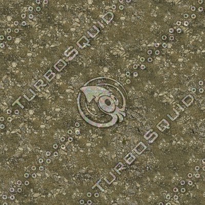 vz-grounds-dirt4(1024).tga