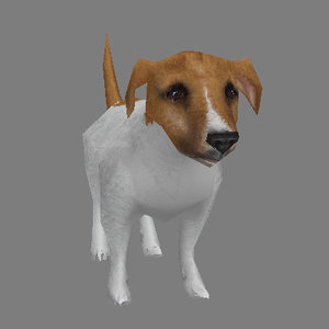 max jack russell terrier