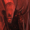 member avatar