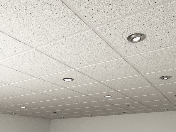 Ceiling Tiles 2010 3d Model