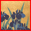 member avatar