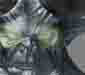 member avatar