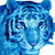 member avatar
