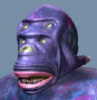 member avatar