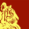 member avatar