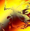member avatar